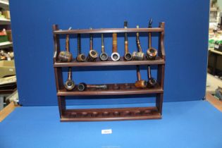 A 24 bay hardwood Pipe Rack with 12 briar and wooden pipes.