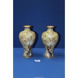 A pair of Cloisonne Vases, pale green ground with birds and prunus, 9 1/4'' tall.