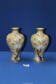 A pair of Cloisonne Vases, pale green ground with birds and prunus, 9 1/4'' tall.