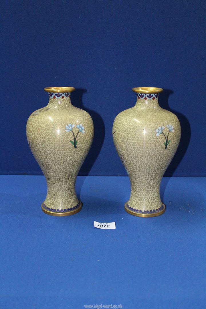 A pair of Cloisonne Vases, pale green ground with birds and prunus, 9 1/4'' tall. - Image 2 of 2