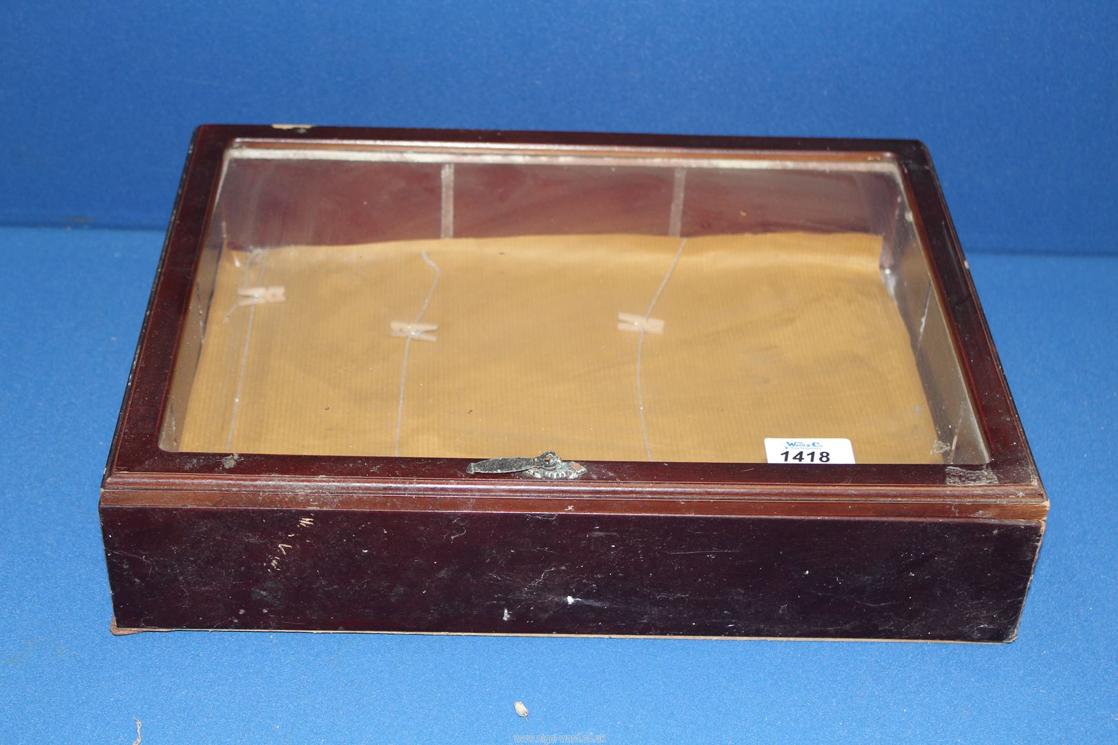A wooden display case with hanging fastenings, 16" wide x 4" deep x 12" high, approx.