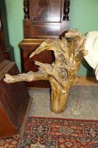 A large piece of driftwood with a carved face of a woman peeping through a gap in the trunk,