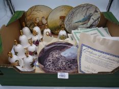 A set of eight Royal Doulton 'Rollisons portraits of nature ' display plates with boxes and