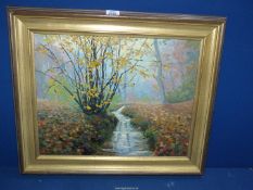 A framed Oil on canvas depicting an Autumn country landscape with a stream running through tree