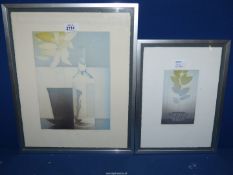 Two limited edition signed Etchings, 'Still Life', 45cm x 36cm and 'Plants' 36cm x 7cm.