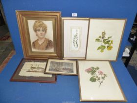 A small quantity of prints to include floral,