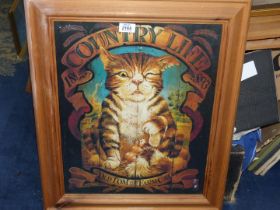 A pine framed Country Life Print "Old Tom the Farm Cat" 20 3/4" x 24 3/4".