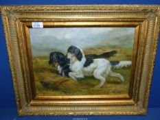 An Oil on canvas of two cross bred Spaniels in a cornfield signed John Leader,