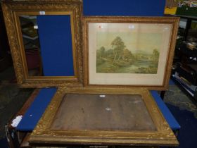 Three Edwardian gilt gesso picture frames, one glazed.