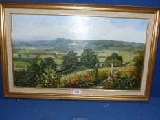 A framed Linda Wallis oil painting on board titled verso 'Surrey Hills' depicting rolling landscape