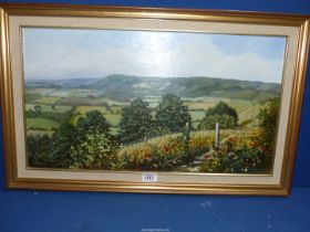 A framed Linda Wallis oil painting on board titled verso 'Surrey Hills' depicting rolling landscape