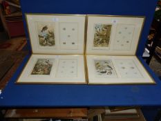 A set of four framed and mounted Book Plates depicting birds and their eggs to include Larks,