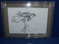 A framed "Bird of Prey" Watercolour,