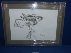 A framed "Bird of Prey" Watercolour,