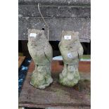 A pair of concrete Owls.