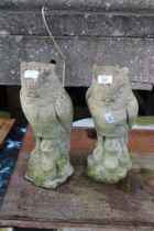 A pair of concrete Owls.