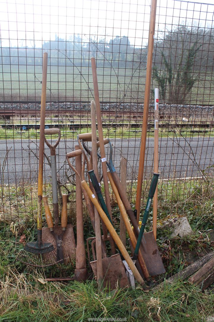 Large quantity of garden tools including spades, pruners, forks, etc.