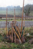 Large quantity of garden tools including spades, pruners, forks, etc.