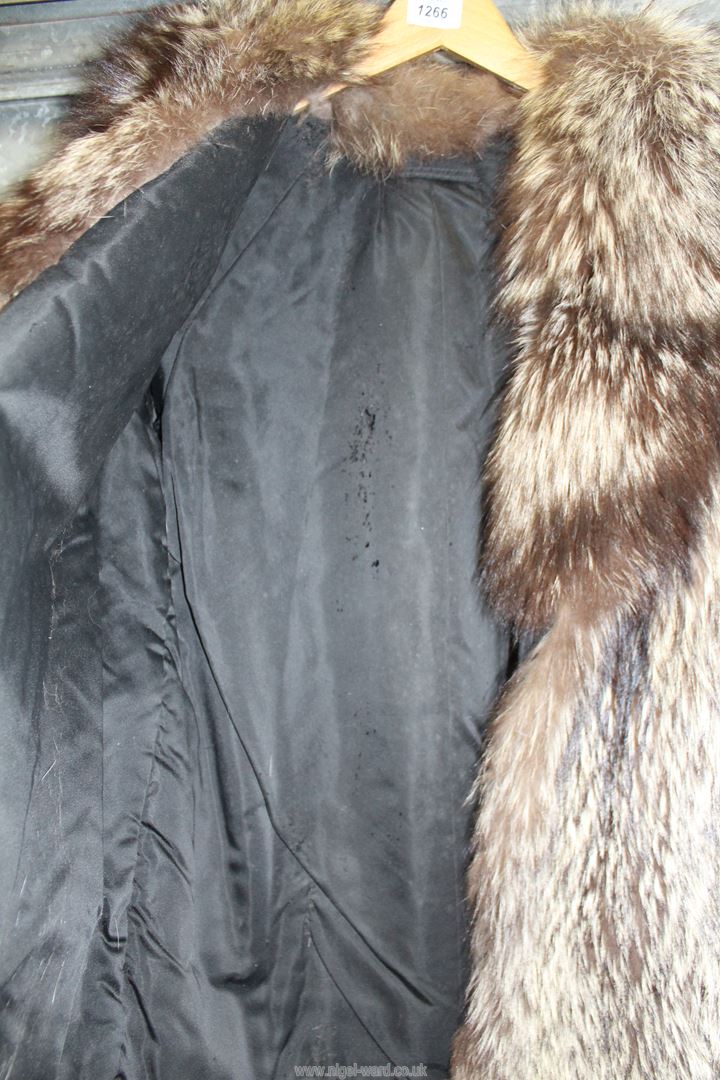 A Silver Fox fur ladies Jacket, some wear to lining, size L (probably 18). - Image 2 of 2