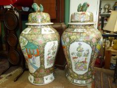 A pair of vintage early to mid 20th century super-sized Chinese famille rose baluster Urns complete