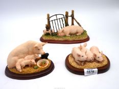 Three Border Fine Arts Studio Pig and piglets figures including "Three Little Piggies"!,