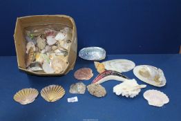 A small qty of shells.