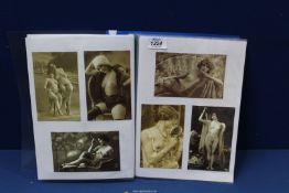 A folder of 33 erotic French Postcards.