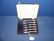 A set of six Silver handled tea knives in a presentation box, with stainless steel deluxe blades,