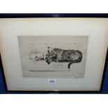 A framed and mounted Cecil Aldin Etching titled 'Sleeping Partners', signed, 19 3/4" x 15 3/4".