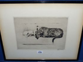 A framed and mounted Cecil Aldin Etching titled 'Sleeping Partners', signed, 19 3/4" x 15 3/4".