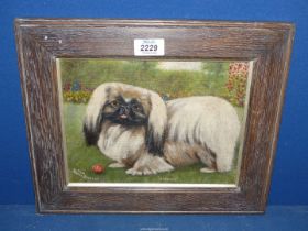 A wooden framed oil on canvas laid onto board title "Queenie", signed lower left Eva Yates Bradley,