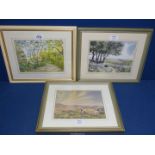 A framed and mounted Watercolour titled verso 'A Woodland Path' signed lower right Bryan Hayes,