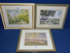 A framed and mounted Watercolour titled verso 'A Woodland Path' signed lower right Bryan Hayes,