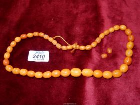 An amber oval bead necklace comprising 44 graduated beads, 21" approximately, 41.68 gms.