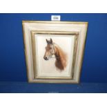 A small framed Oil on board of a horse,