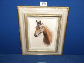 A small framed Oil on board of a horse,