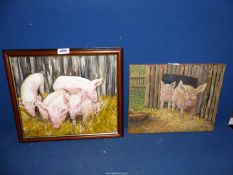 A framed Oil on board of five playful piglets,