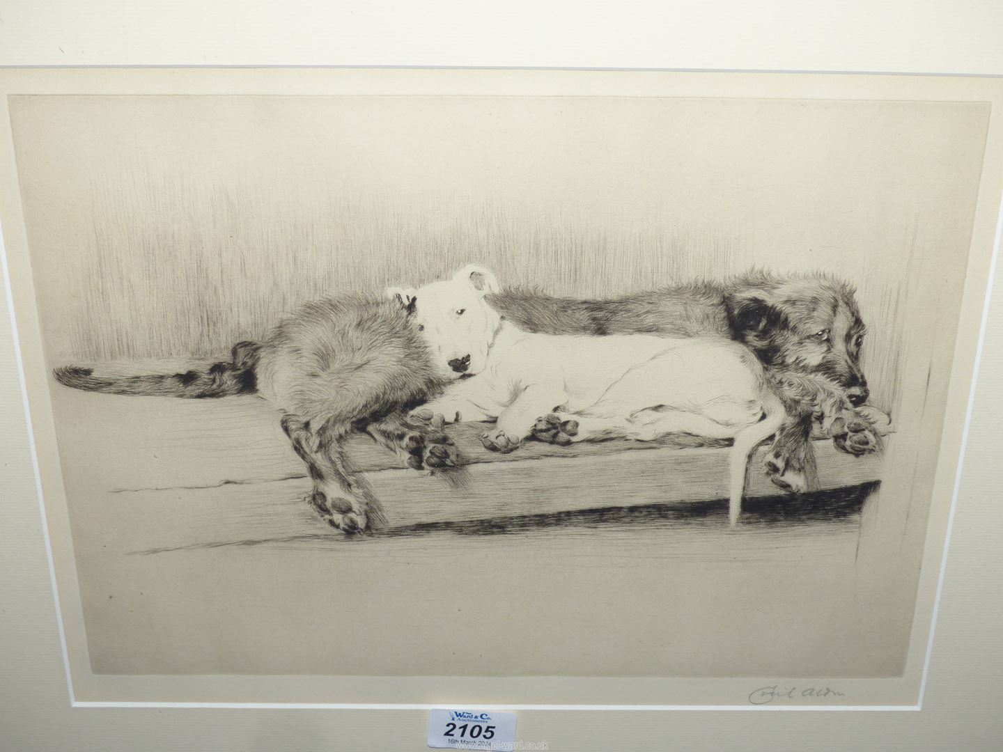 A framed and mounted Cecil Aldin Etching titled 'Firm Friends', signed, 23 1/4" x 19 1/4". - Image 3 of 3