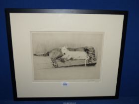 A framed and mounted Cecil Aldin Etching titled 'Firm Friends', signed, 23 1/4" x 19 1/4".