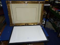 Two picture frames one black aperture size 12" x 20" overall 21" x 29",
