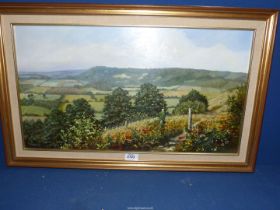 A framed Linda Wallis oil painting on board titled verso 'Surrey Hills' depicting rolling landscape