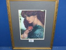 A Gabriel Rossetti Print of a girl with a pomegranate.