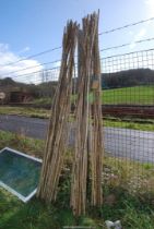 A quantity of Hazel bean sticks.