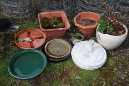 Glazed planter with shrub, plastic planters, etc.