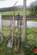 A hedge bill, a turfing spade, a shepherd's crook, a shovel and brooms.