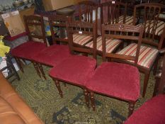A set of four Mahogany framed Dining Chairs having turned front legs and maroon upholstered