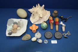 A quantity of miscellanea including shell, quartz and other stones, large blown egg shell,
