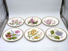 A set of six Spode "Garden flowers" display plates.