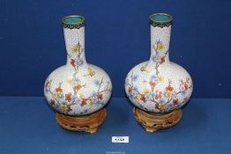 A pair of cloisonné bottle neck baluster vases decorated with blossom and butterflies on a wooden