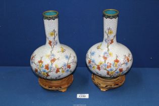 A pair of cloisonné bottle neck baluster vases decorated with blossom and butterflies on a wooden